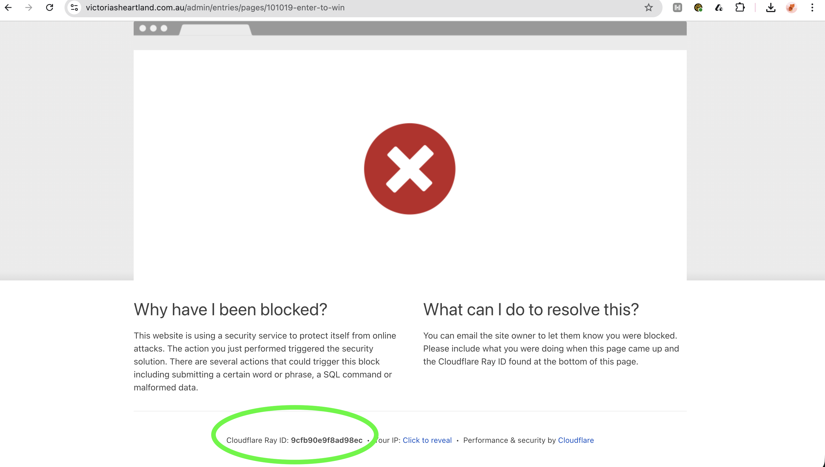 Screenshot 2026-02-18 at 16.46.42.png